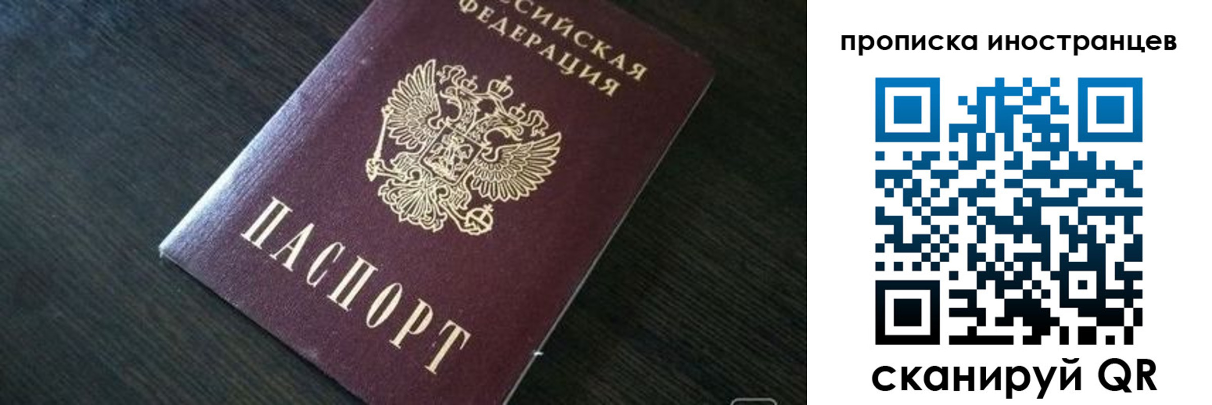 прописка 2025 в Волгоградской области